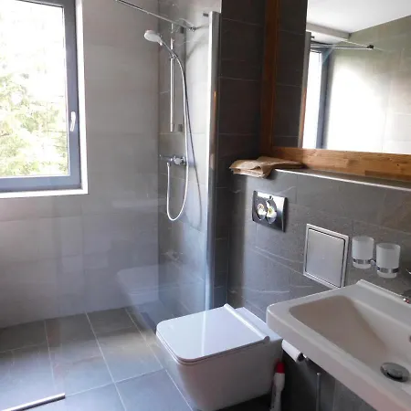 Daire Wellness Tatranska Strba *